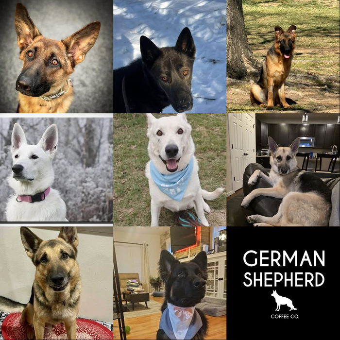Meet Our Dogs of the Month — April